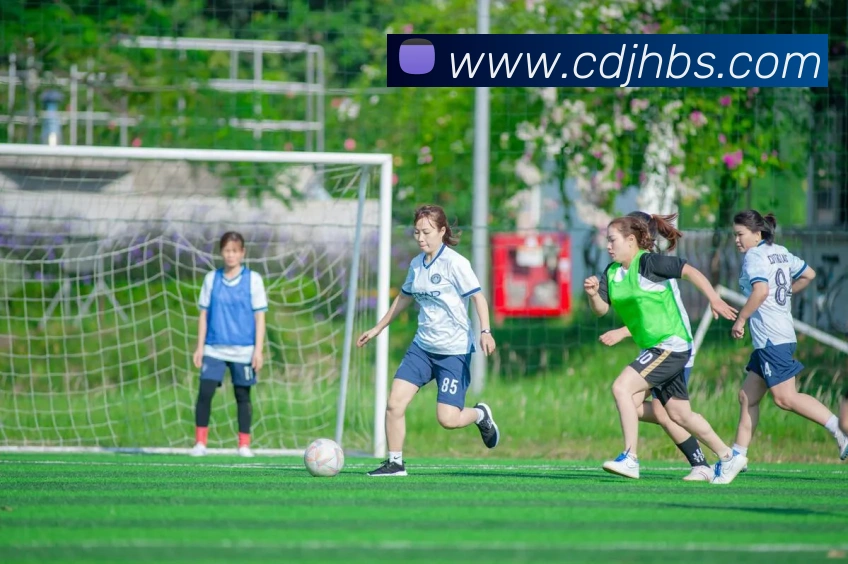 九游app官网入口账号APP 封面图